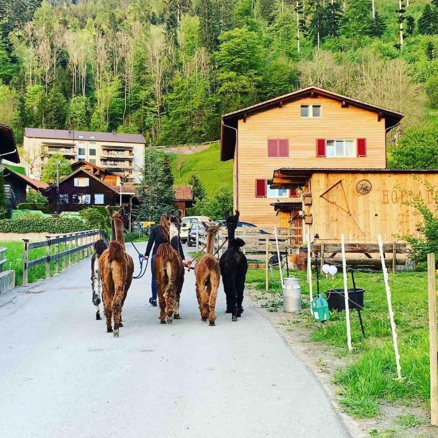 Готель Jurte Beim Lama- & Alpakahof Triesenberg Екстер'єр фото