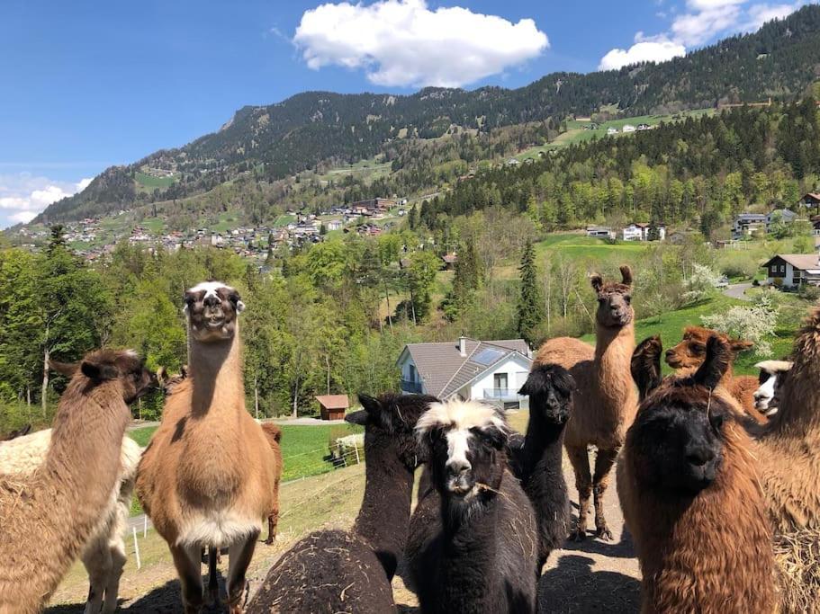 Готель Jurte Beim Lama- & Alpakahof Triesenberg Екстер'єр фото