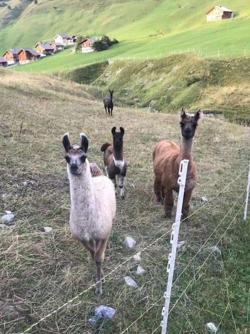 Готель Jurte Beim Lama- & Alpakahof Triesenberg Екстер'єр фото