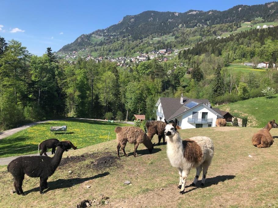 Готель Jurte Beim Lama- & Alpakahof Triesenberg Екстер'єр фото